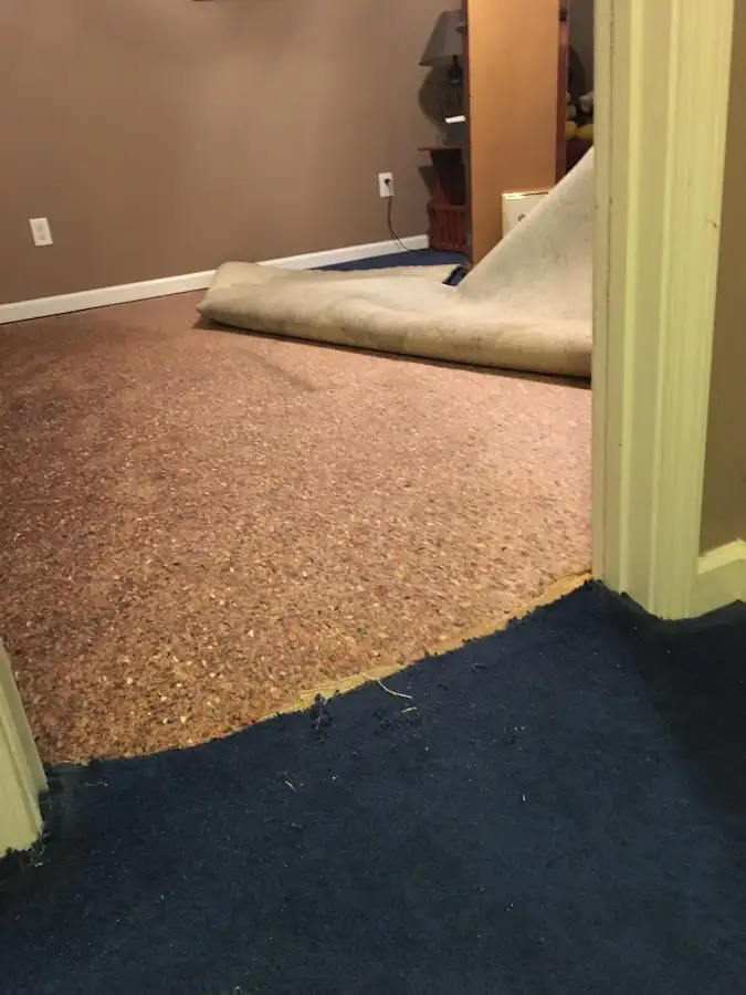 Carpet pad removal revealing water damage during Drying & Dehumidification in Calabasas